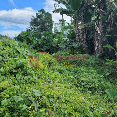 5536.98 Sq Ft Of Land Next To The Linstead Police 