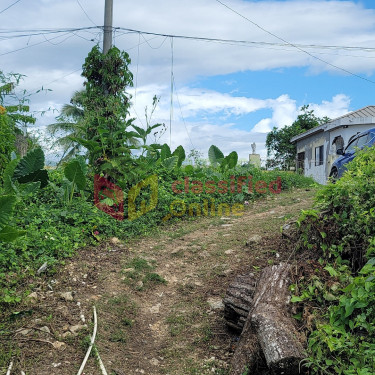 5536.98 Sq Ft Of Land Next To The Linstead Police 