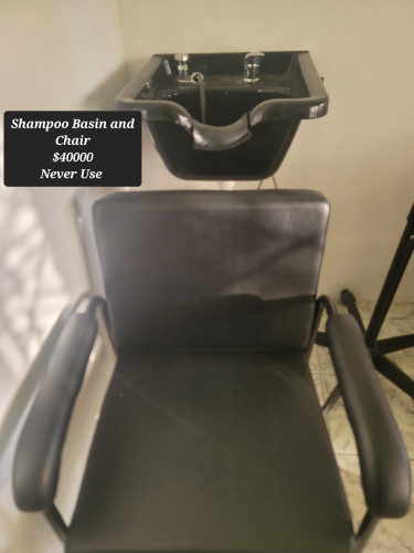 Shampoo Basin And Chair