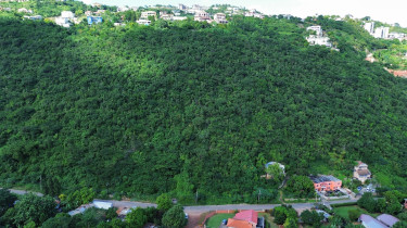 11A Belvedere Rd, Forest Hill Land 2 Acres  $30 M