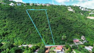 11A Belvedere Rd, Forest Hill Land 2 Acres  $30 M