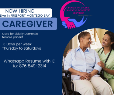 Part Time Caregiver