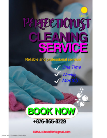 PERFECTIONIST CLEANING SERVICE* NOT A COMPANY* 