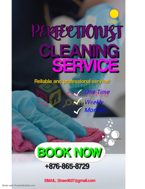 PERFECTIONIST CLEANING SERVICE* NOT A COMPANY*