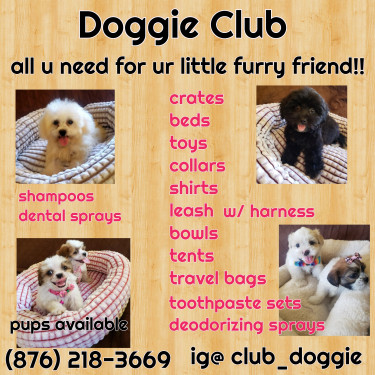 Dog Supplies: Crates, Travel Bags, Toys, Shirts 