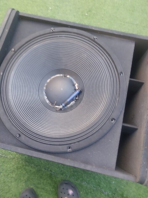 Speaker Repair