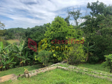 4 BEDROOM 4 BATH HOUSE ON 2 ACRES LAND