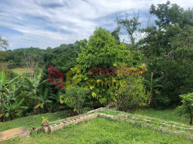 4 BEDROOM 4 BATH HOUSE ON 2 ACRES LAND