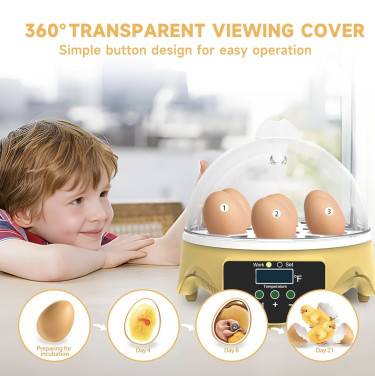 12-Egg Incubator / Automatic Egg Turner