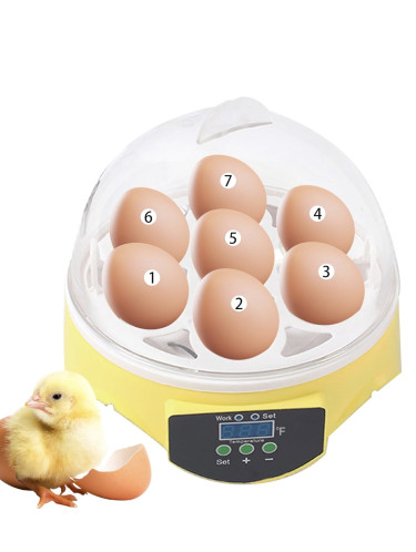 12-Egg Incubator / Automatic Egg Turner