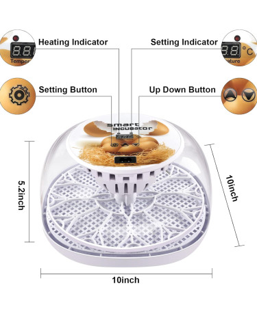 12-Egg Incubator / Automatic Egg Turner