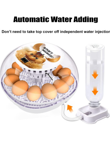 12-Egg Incubator / Automatic Egg Turner