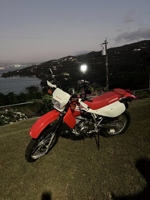 HONDA 650XR