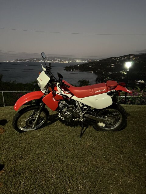 HONDA 650XR