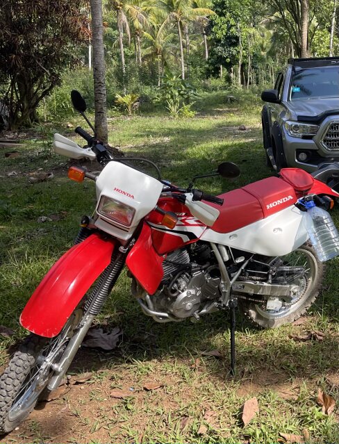 HONDA 650XR