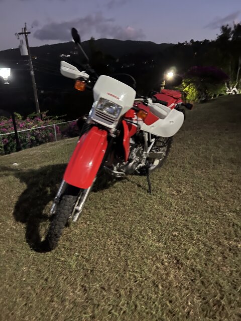 HONDA 650XR