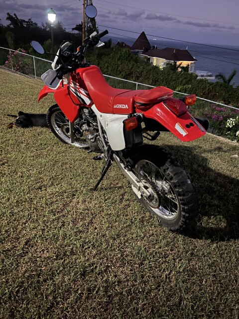 HONDA 650XR