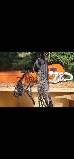 Stihl 291 For Sale