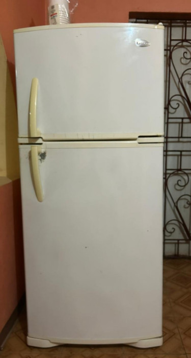 10 Year Old  5'11 Cetron Fridge