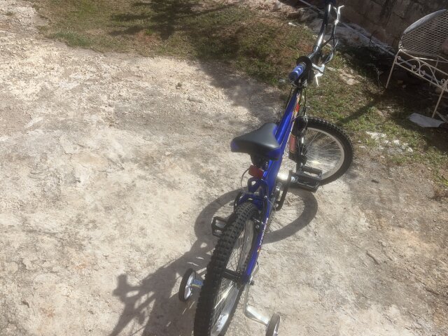 20 Inch Stunta Bicycle