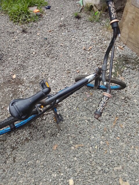 Bicycle For Sale