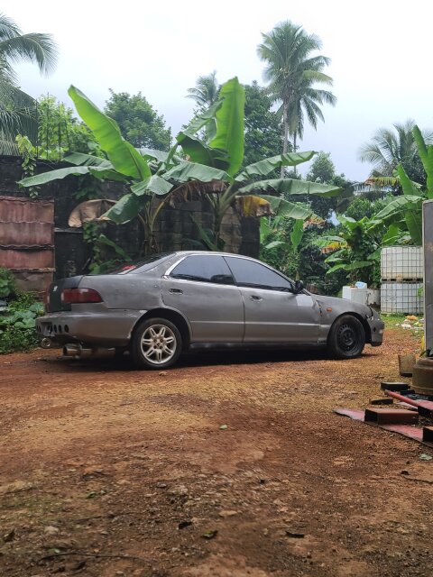 Honda Integra (shell)