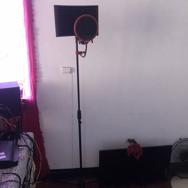 Mic Stand + Pop