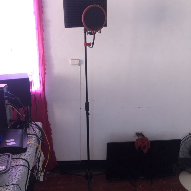 Mic Stand + Pop