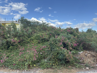 Old Harbour Glades Lot