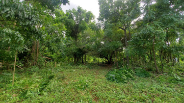 Residential Lot For Sale Portland, Belle Castle