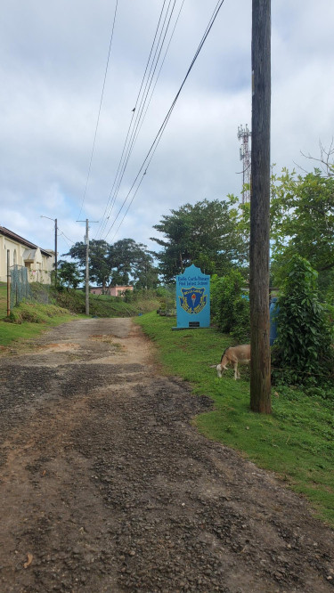 Residential Lot For Sale Portland, Belle Castle