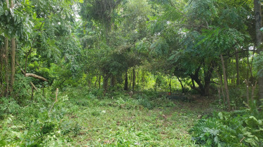 Residential Lot For Sale Portland, Belle Castle