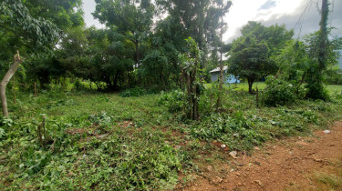 Residential Lot For Sale Portland, Belle Castle