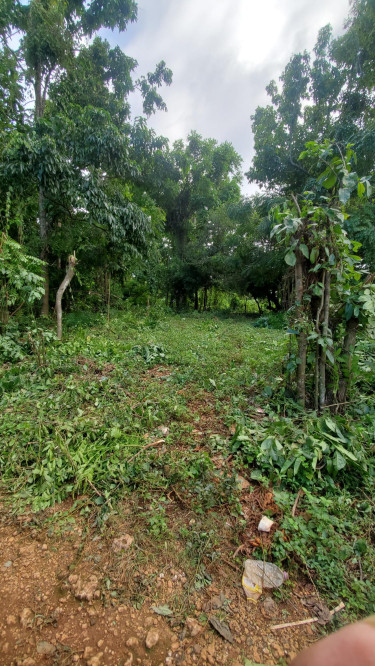 Residential Lot For Sale Portland, Belle Castle