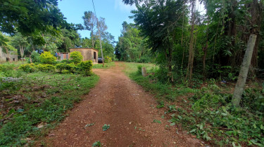 Residential Lot For Sale Portland, Belle Castle