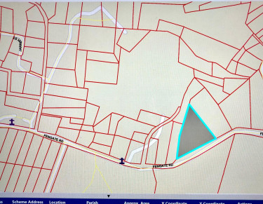 Residential Lot For Sale Trelawny, Arcadia Pen