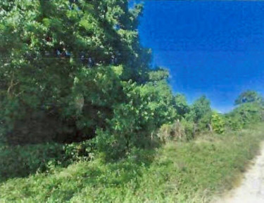 Residential Lot For Sale Trelawny, Arcadia Pen