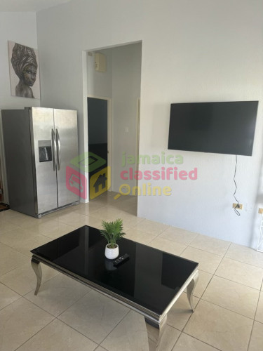 2 Bedroom/ 1 Bathroom Fully Furnished / Unit A Apartments Coral Springs, Trelawny