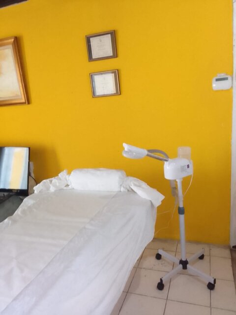 Facial Steamer (Standing) Hair Styling Equipment Half-Way-Tree
