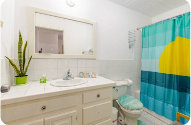 1 Bedroom 