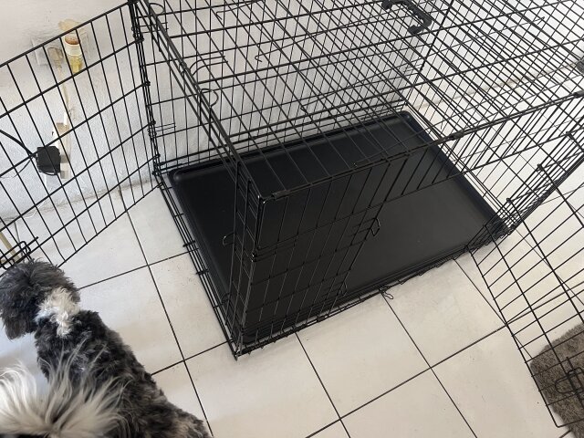 DOG CAGE