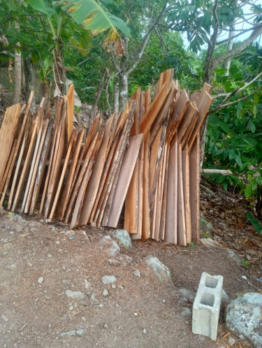 Cedar Board For Sale