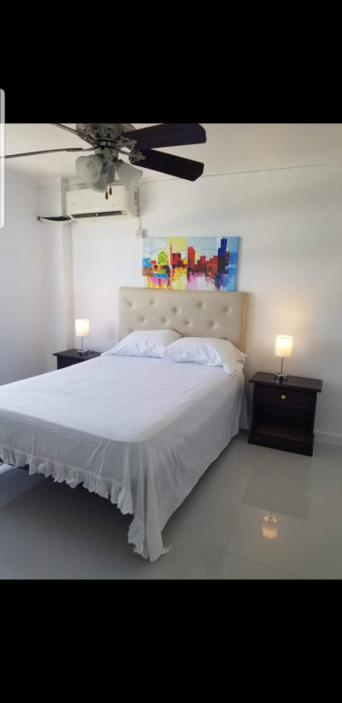 2 Bedroom New Kingston Furnished Apartment 