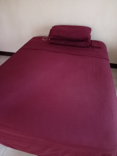 QUEEN SIZE BED (Good Condition)