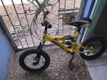 One Used Kid Bicycle For Sale 