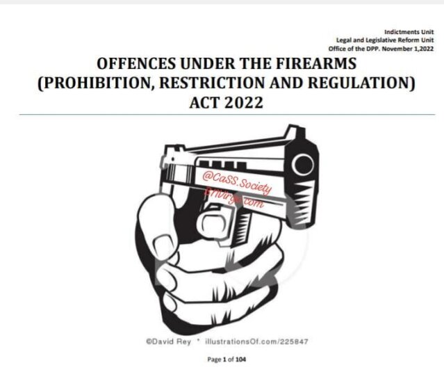 Learn About The Firearms Act 2022 Classes.