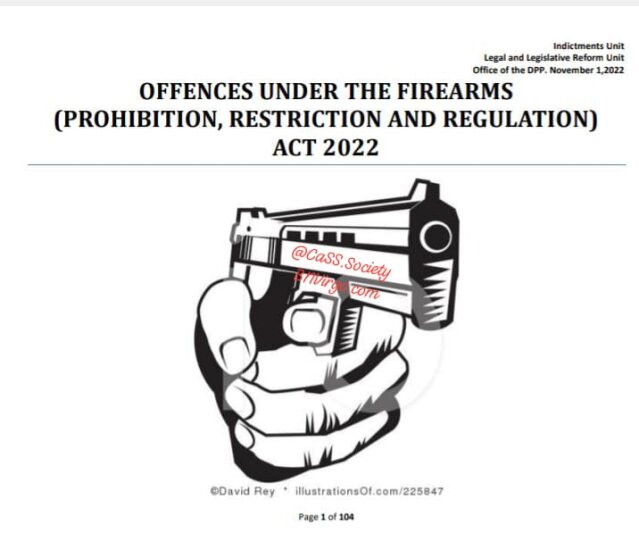 Learn Firearms Act 2022