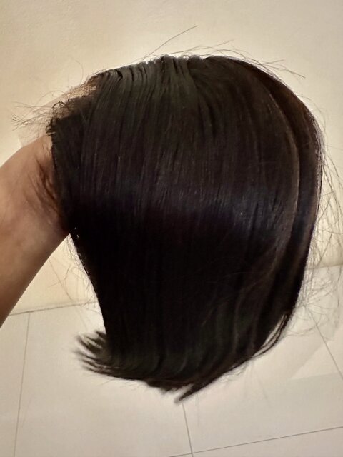 12 Malaysian Straight Wig