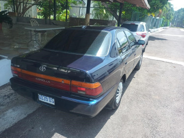 Toyota Corolla For Sale