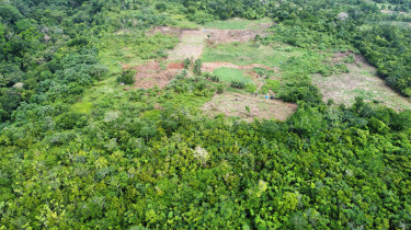 4 Acres Of Land In Mango Valley, St. Mary